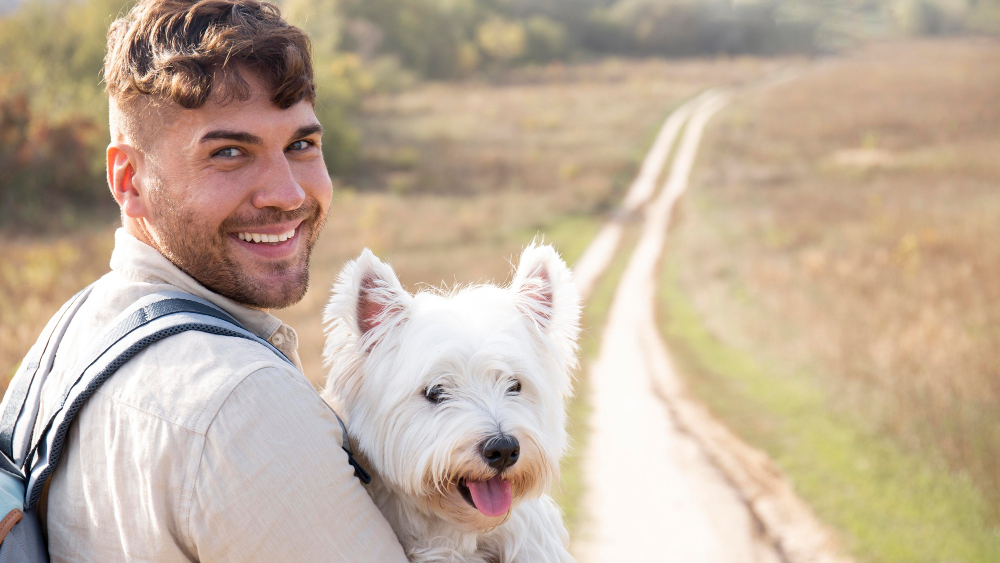 The Advantages of Neutering Your Male Pet