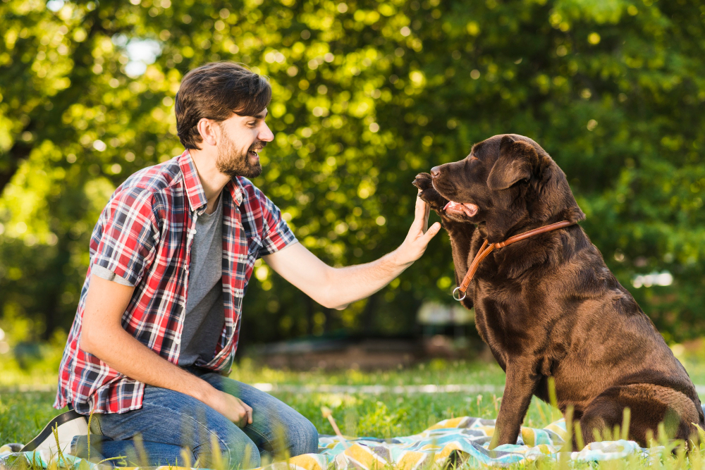 The Advantages of Spaying Your Female Pet