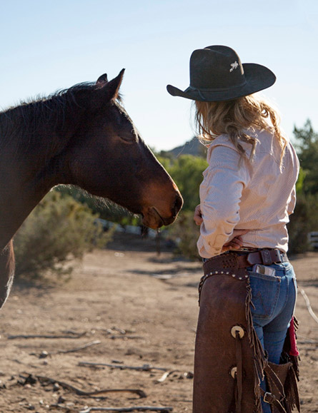 Southeast Valley Horse Property